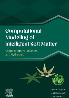 Computational Modeling of Intelligent Soft Matter