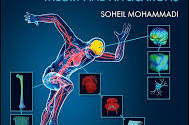 Multiscale Biomechanics