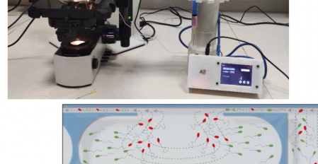 UT Researchers collaborating with Tarbiat Modars Uni. developed a chip for sperm separation.